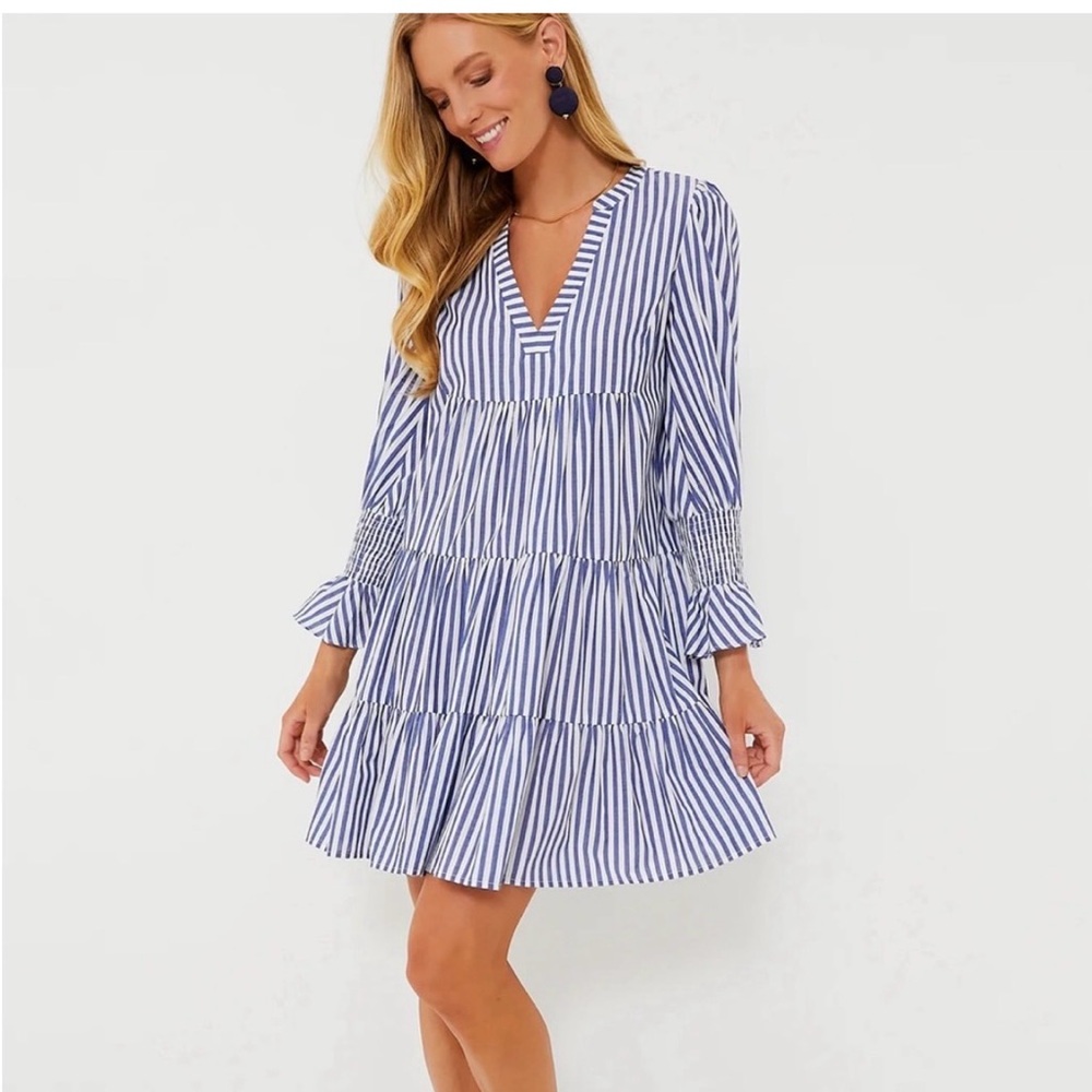 Tuckernuck Pomander Place Blue and White Striped dress size L